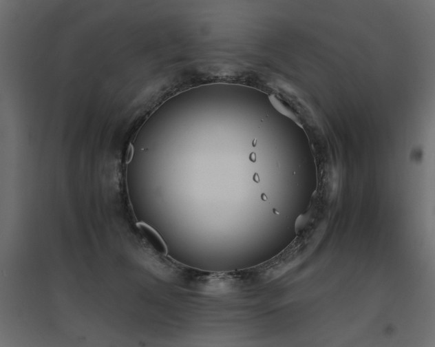 X0000094910612200711291257