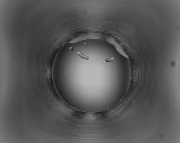 X0000094910613200711291257