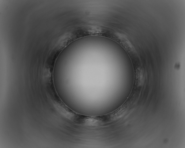 X0000094910614200711291257