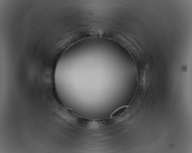X0000094910616200711291257