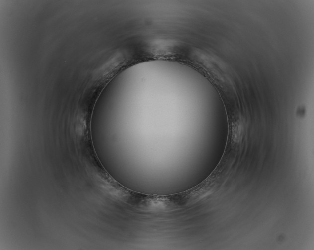 X0000094910618200711291257