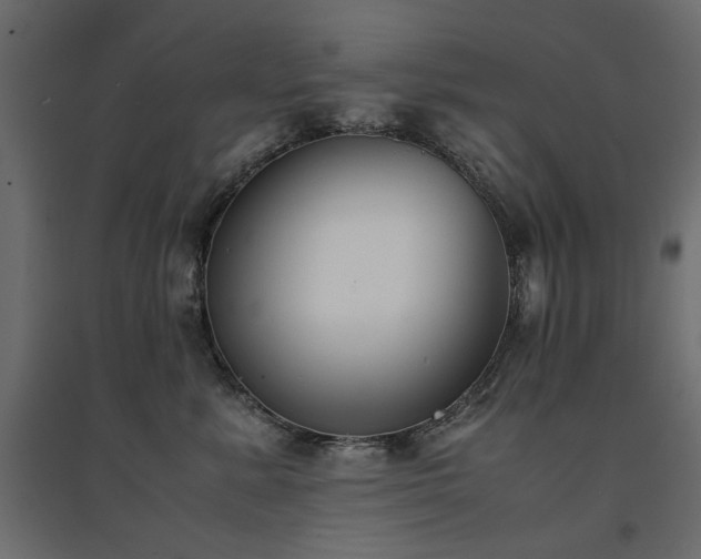 X0000094910619200711291257