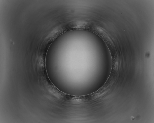 X0000094910620200711291257