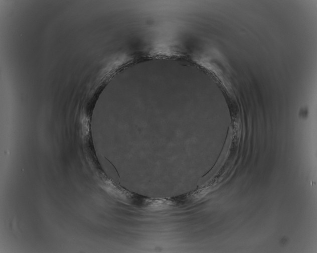 X0000094910621200711291257