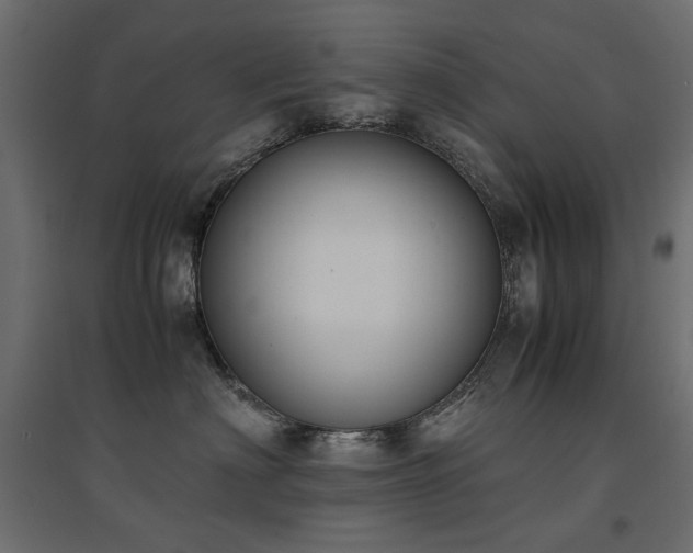 X0000094910622200711291257