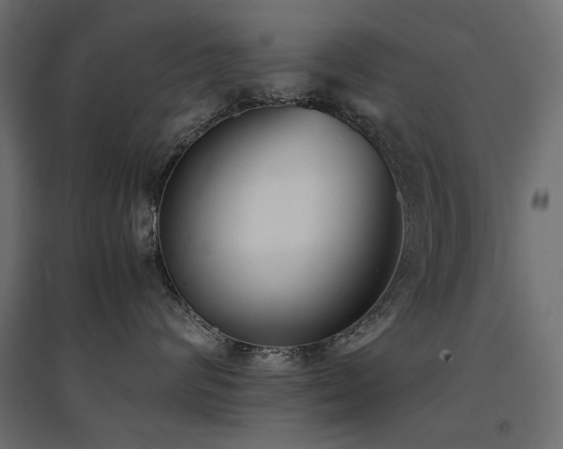 X0000094910624200711291257