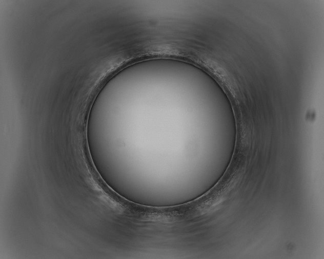 X0000094910625200711291256