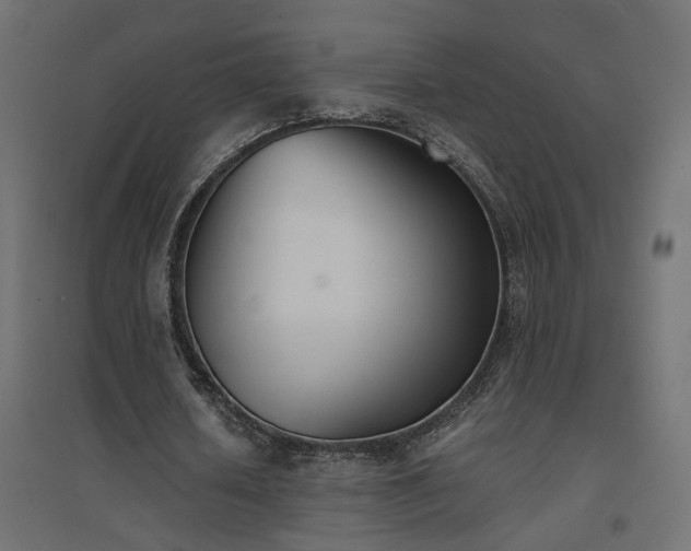 X0000094910626200711291256