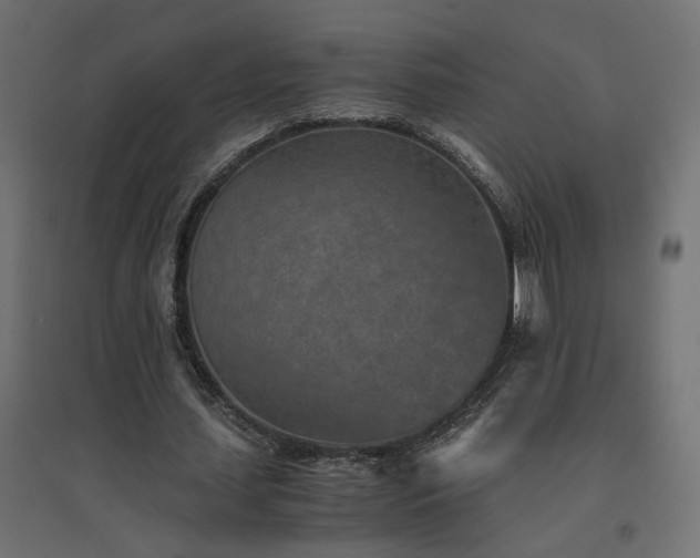 X0000094910627200711291256