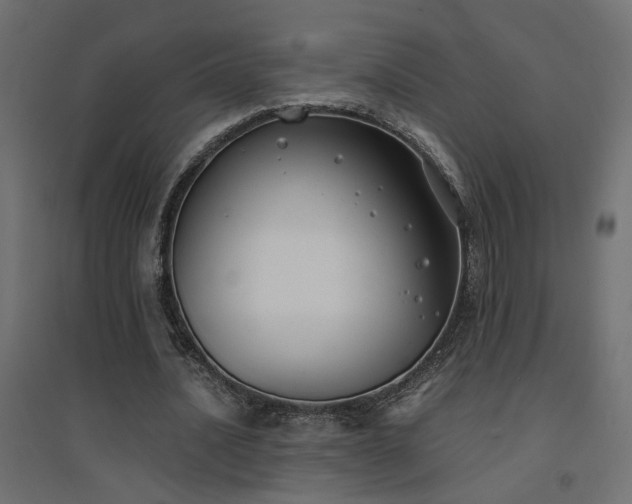 X0000094910628200711291256