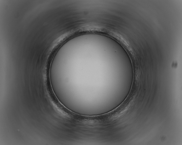 X0000094910629200711291256
