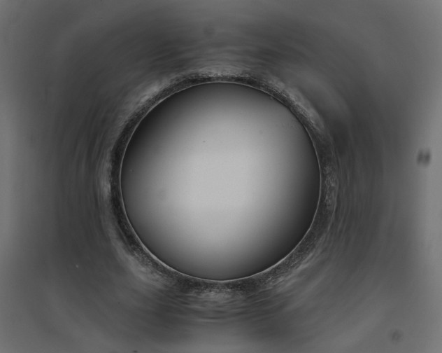 X0000094910631200711291256