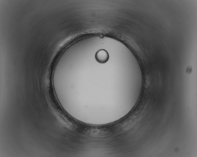 X0000094910632200711291256