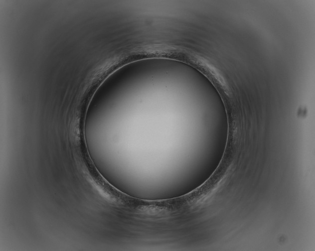 X0000094910633200711291256