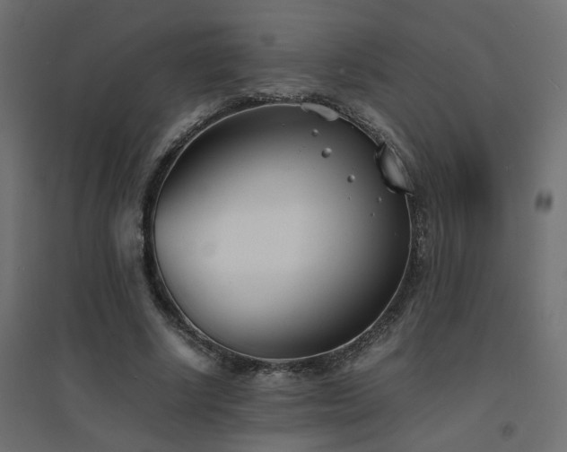 X0000094910634200711291256