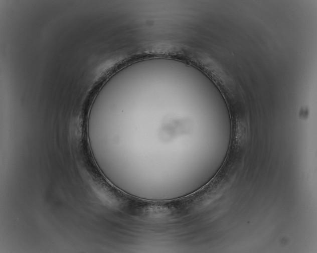 X0000094910636200711291256