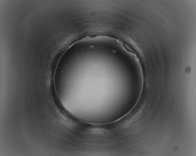 X0000094910637200711291256