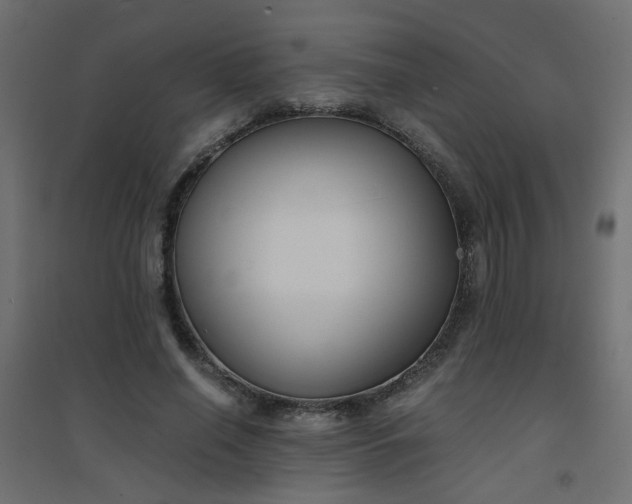X0000094910638200711291256