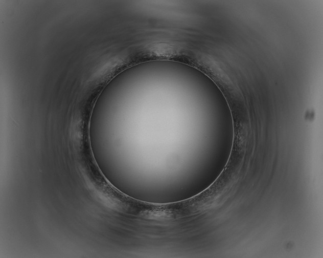 X0000094910639200711291256