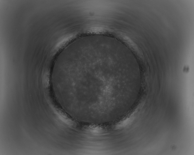 X0000094910640200711291256