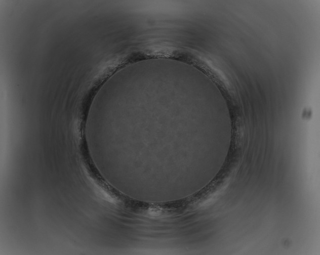 X0000094910641200711291256