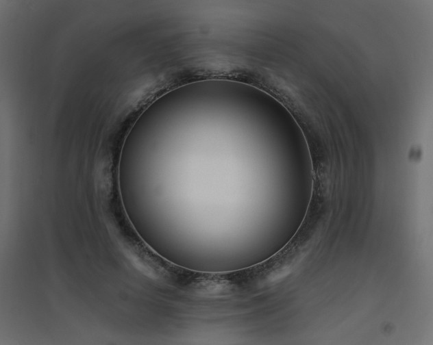 X0000094910642200711291256