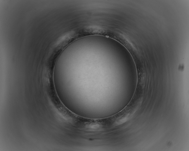 X0000094910643200711291256