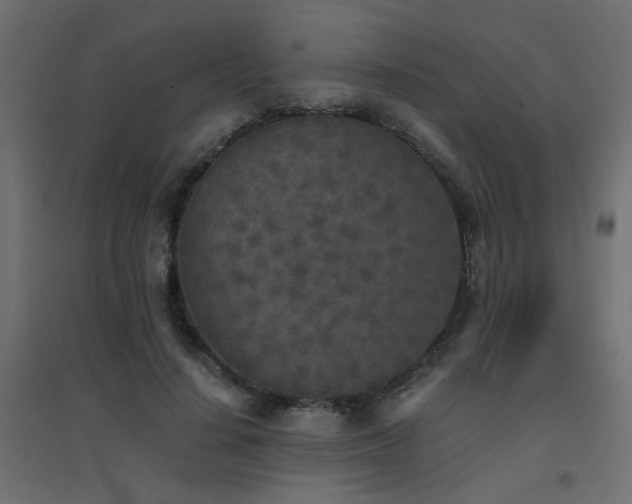 X0000094910644200711291256