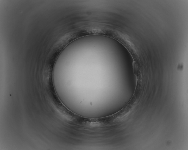X0000094910645200711291256