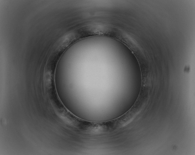 X0000094910646200711291256