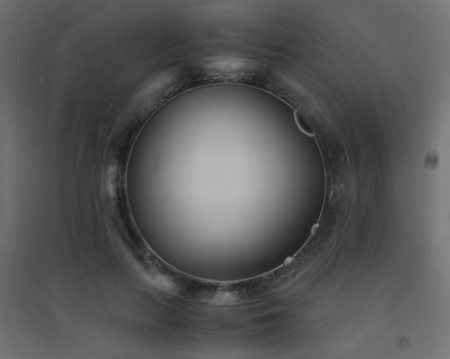X0000094910647200711291256