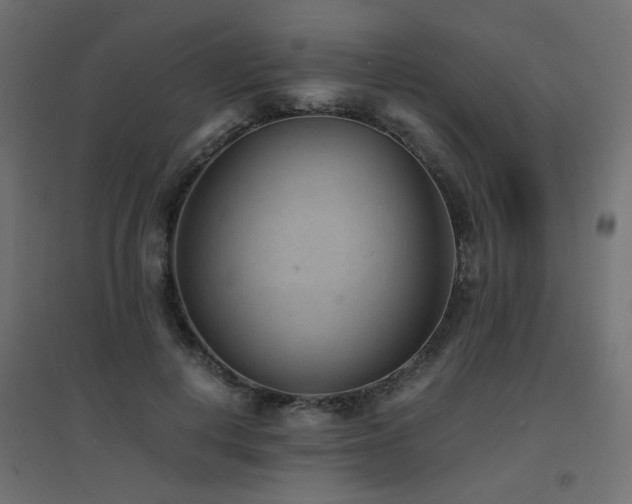 X0000094910648200711291256