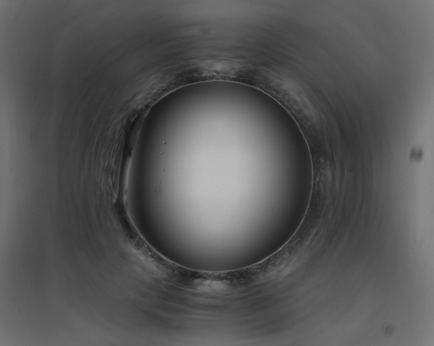 X0000094910649200711291256