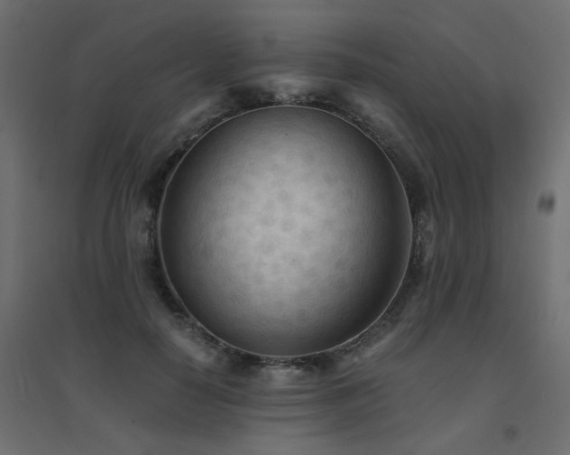 X0000094910650200711291256