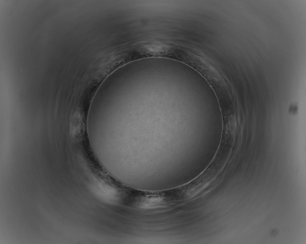X0000094910651200711291256