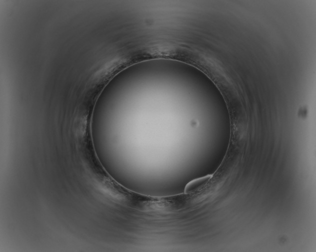 X0000094910652200711291256