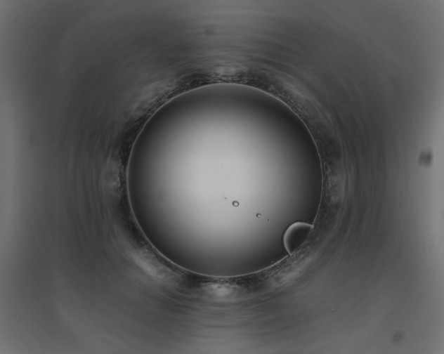 X0000094910654200711291256