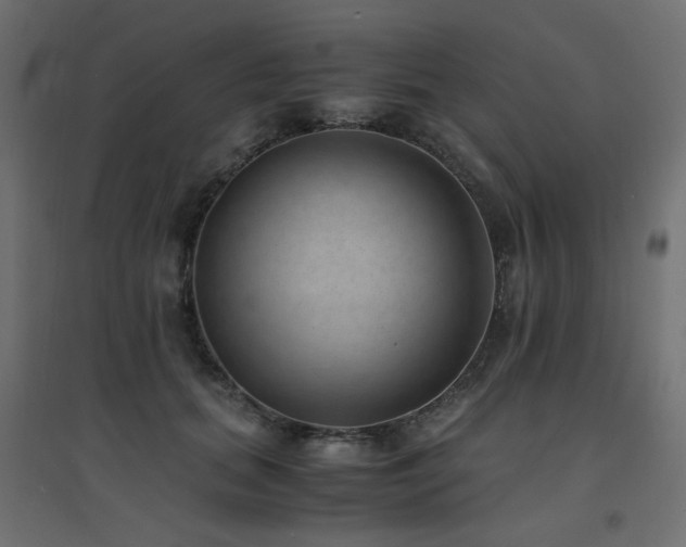 X0000094910655200711291256