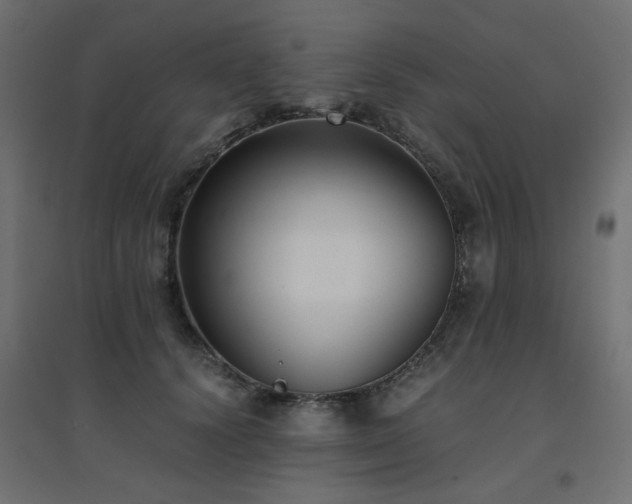 X0000094910656200711291256
