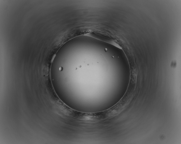 X0000094910657200711291256
