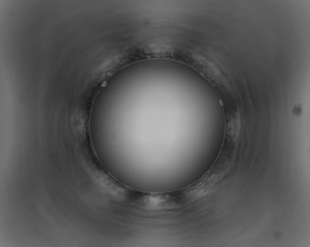 X0000094910662200711291257