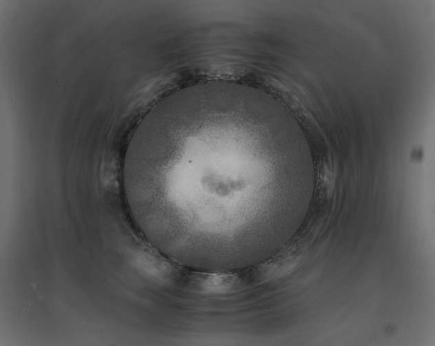 X0000094910663200711291257