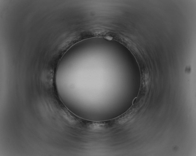 X0000094910664200711291257
