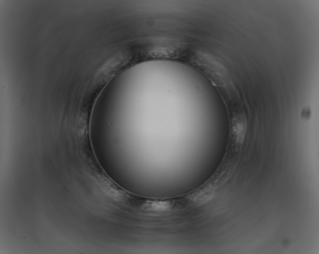 X0000094910665200711291257