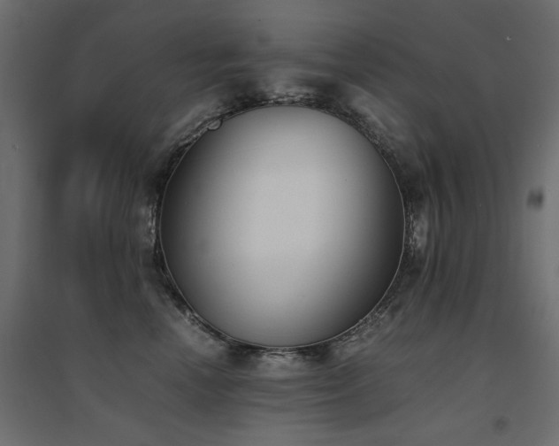 X0000094910666200711291257