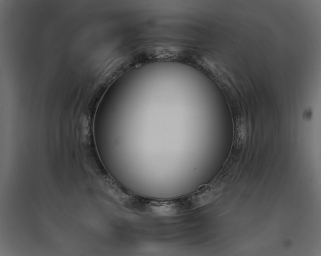 X0000094910667200711291257