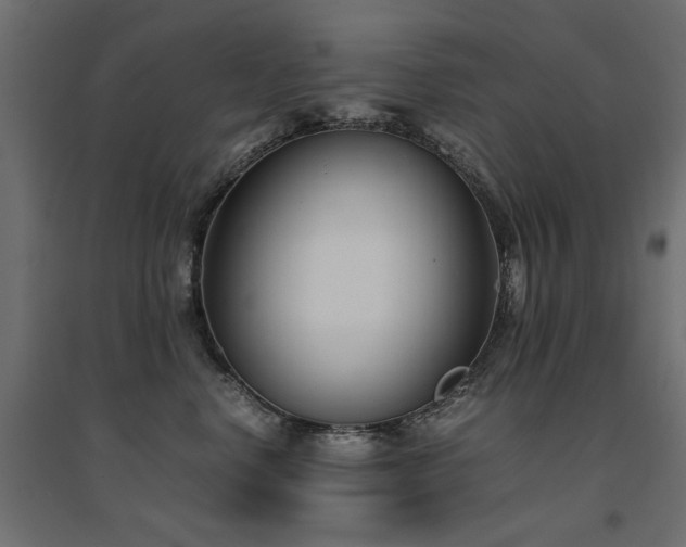 X0000094910668200711291257