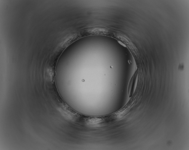 X0000094910669200711291257