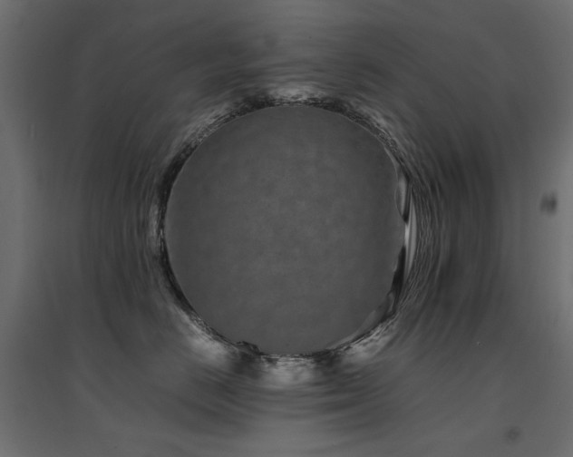 X0000094910670200711291257