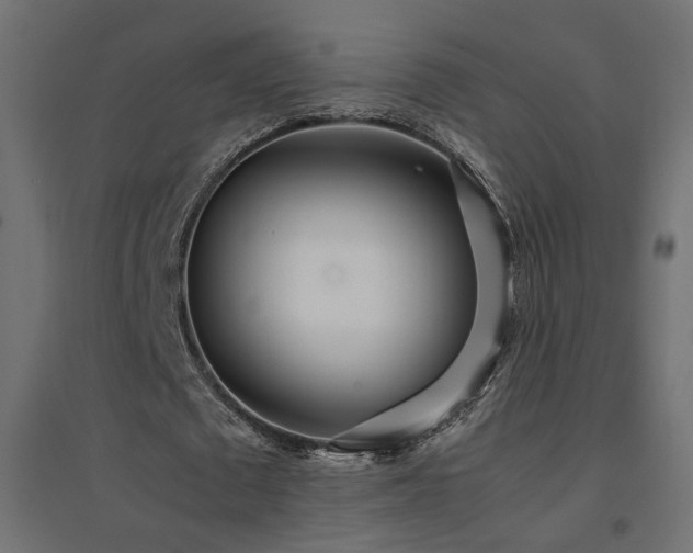 X0000094910673200711291256